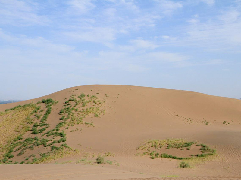 沙漠体育运动主题公园